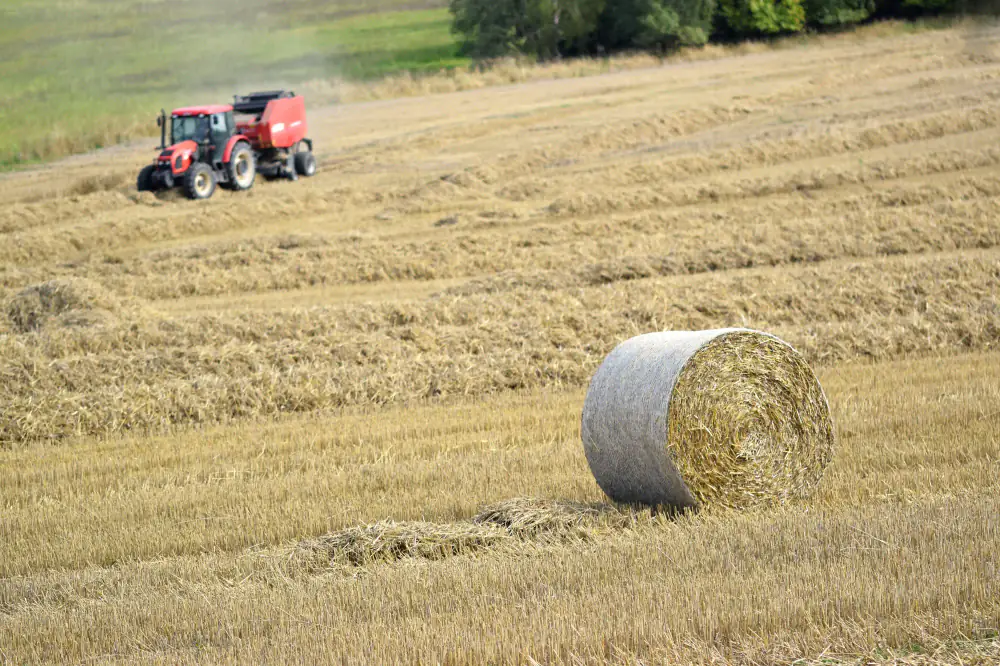 Tractor working a silage field