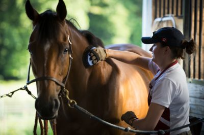Capt. Lindsey Colburn, 11th Wing executive officer, brushes her horse, Soon, prior to riding on Leighton Farm, Upper Marlboro, Md., Aug. 21, 2015. Brushing regularly keeps the horse clean and free from skin infections as well as promotes a strong bond between horse and rider. (U.S. Air Force photo by Staff Sgt. Chad C. Strohmeyer)(Released)